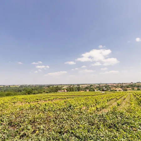 Moulin 18eme Siecle, 3 Chambres, Jardin, Wifi A - Fr-1-306-1164 Monnieres (Loire-Atlantique)